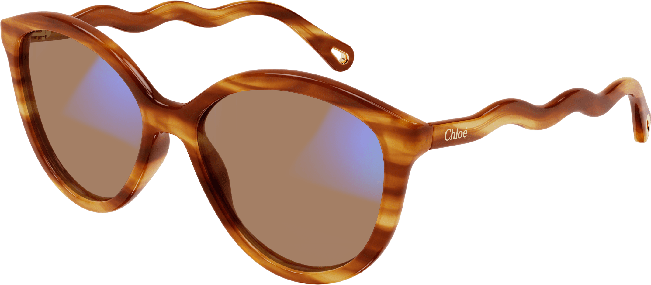 Color_CH0089S-001 - HAVANA - TRANSPARENT - PHOTOCROMATIC