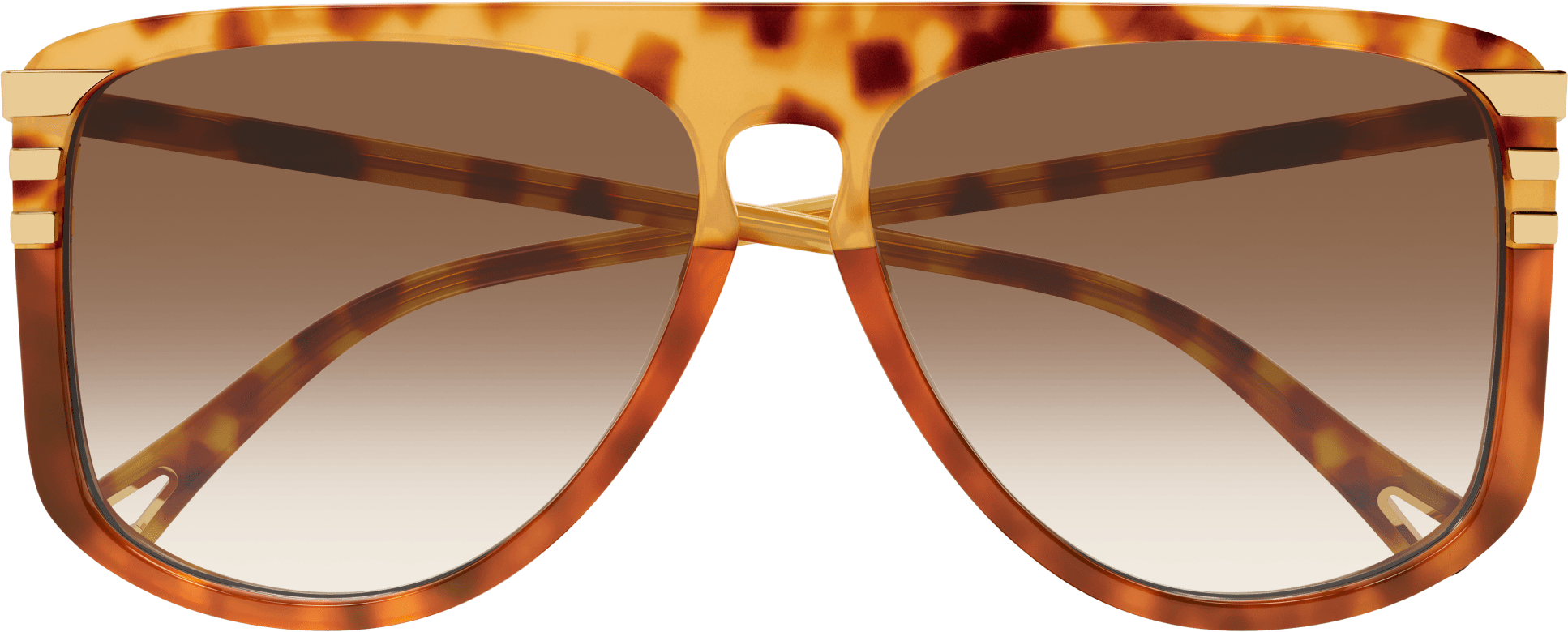 Color_CH0104S-001 - HAVANA - BROWN - GRADIENT