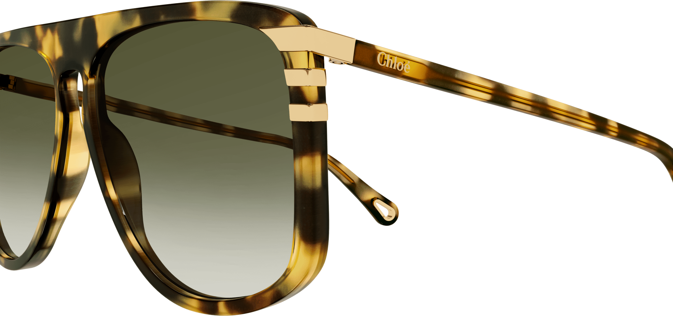 Color_CH0104S-003 - HAVANA - GREEN - GRADIENT