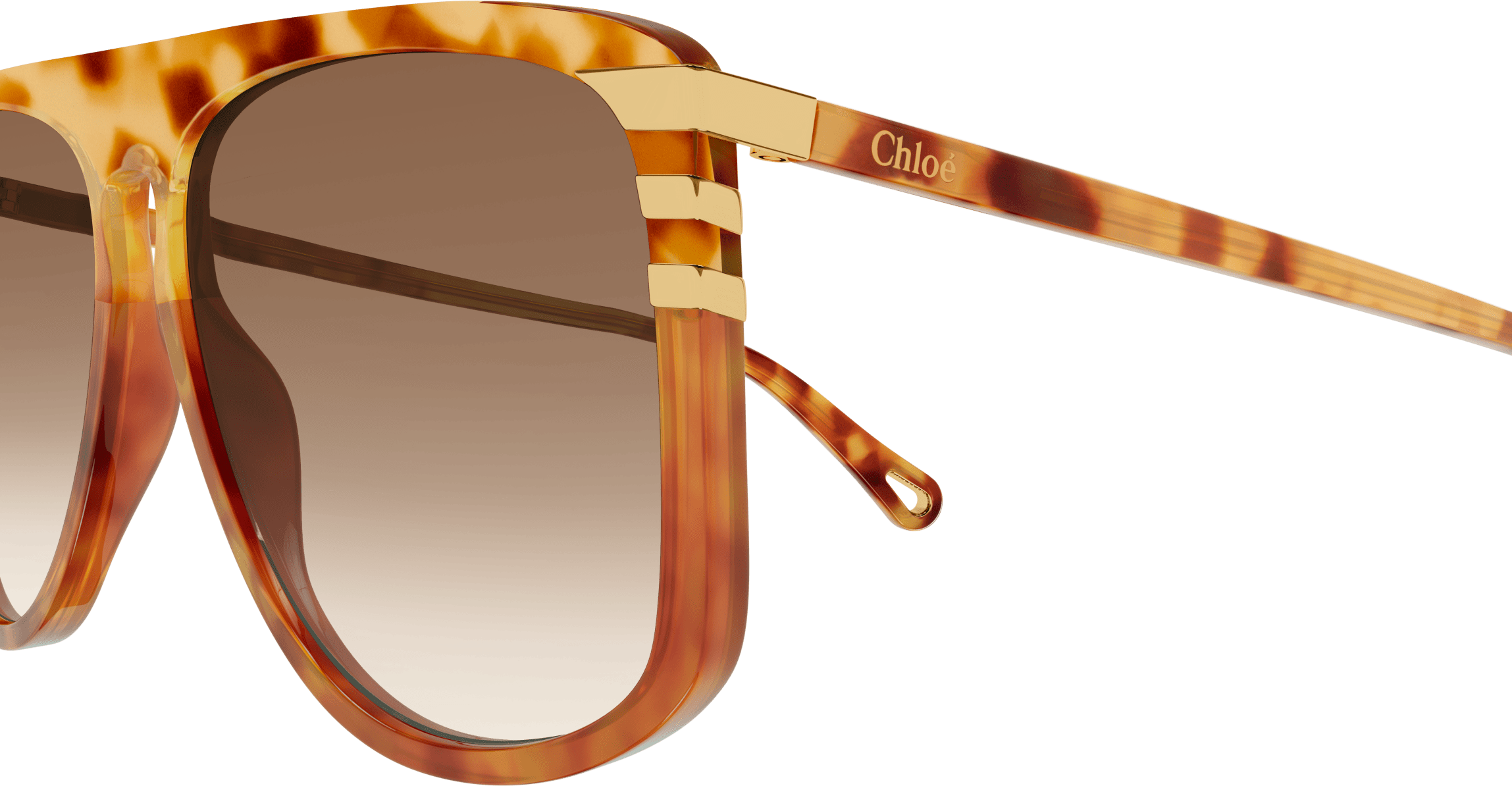 Color_CH0104S-005 - HAVANA - BROWN - GRADIENT