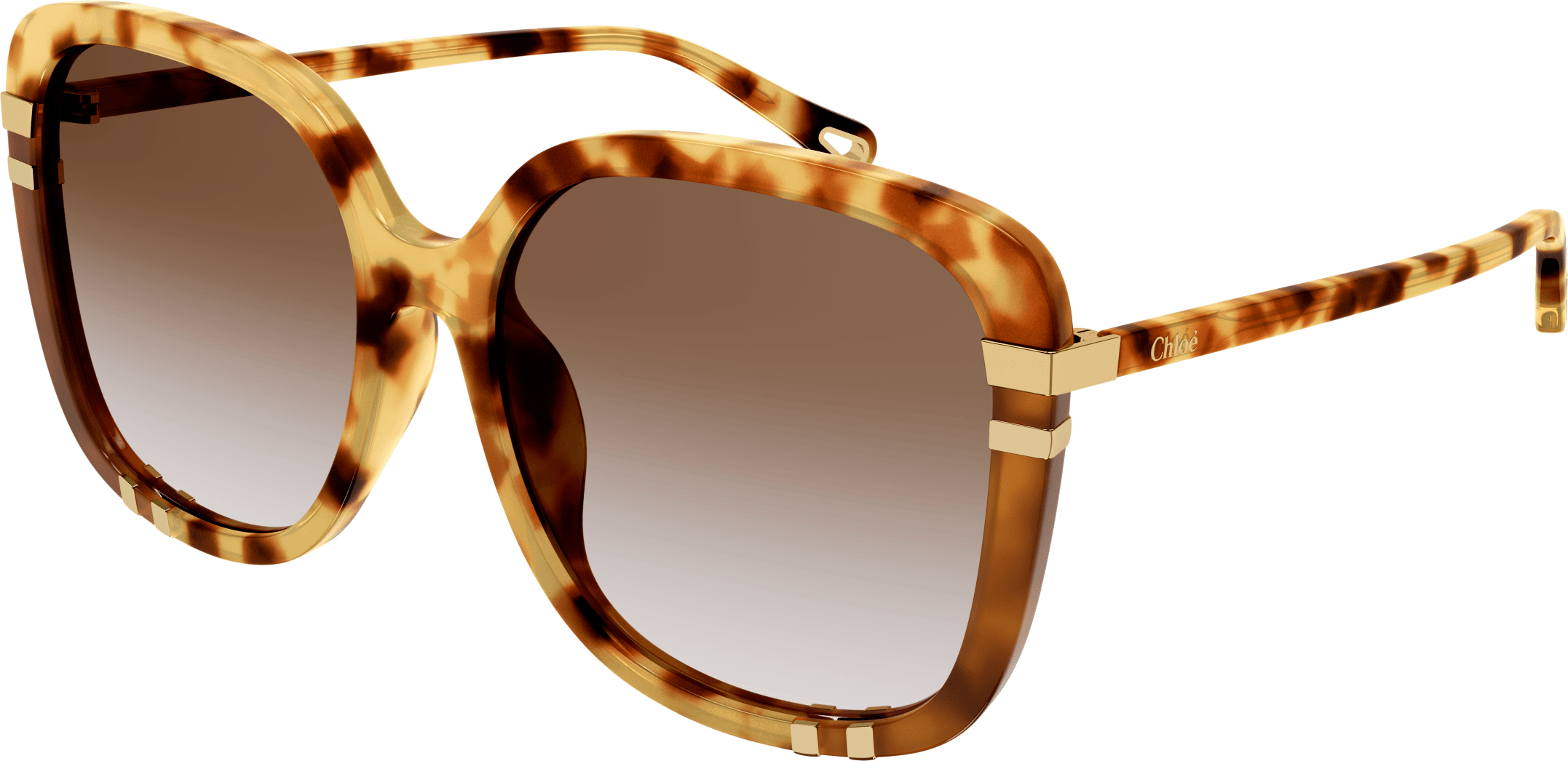 Color_CH0106SA-001 - HAVANA - BROWN - GRADIENT