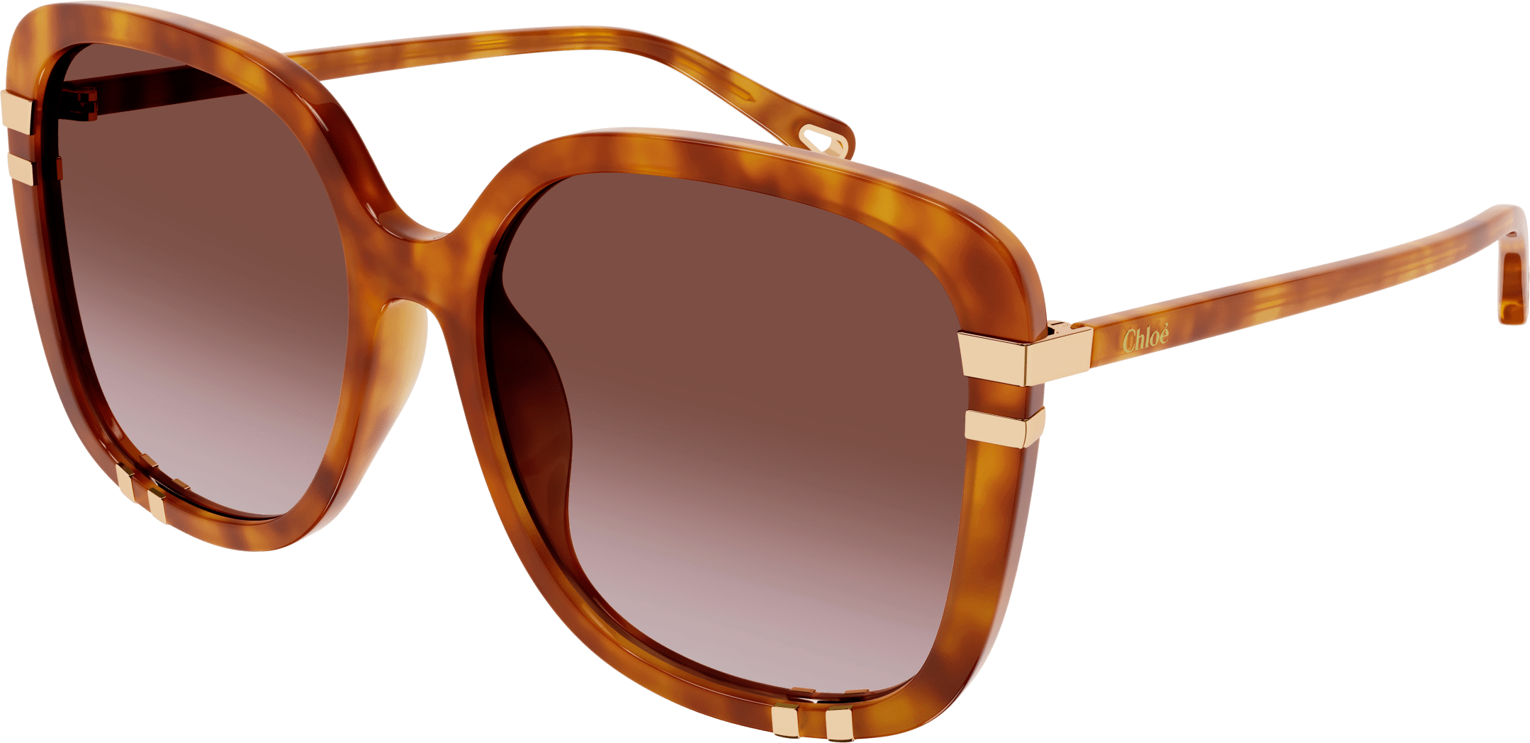 Color_CH0106SA-003 - HAVANA - ORANGE - GRADIENT