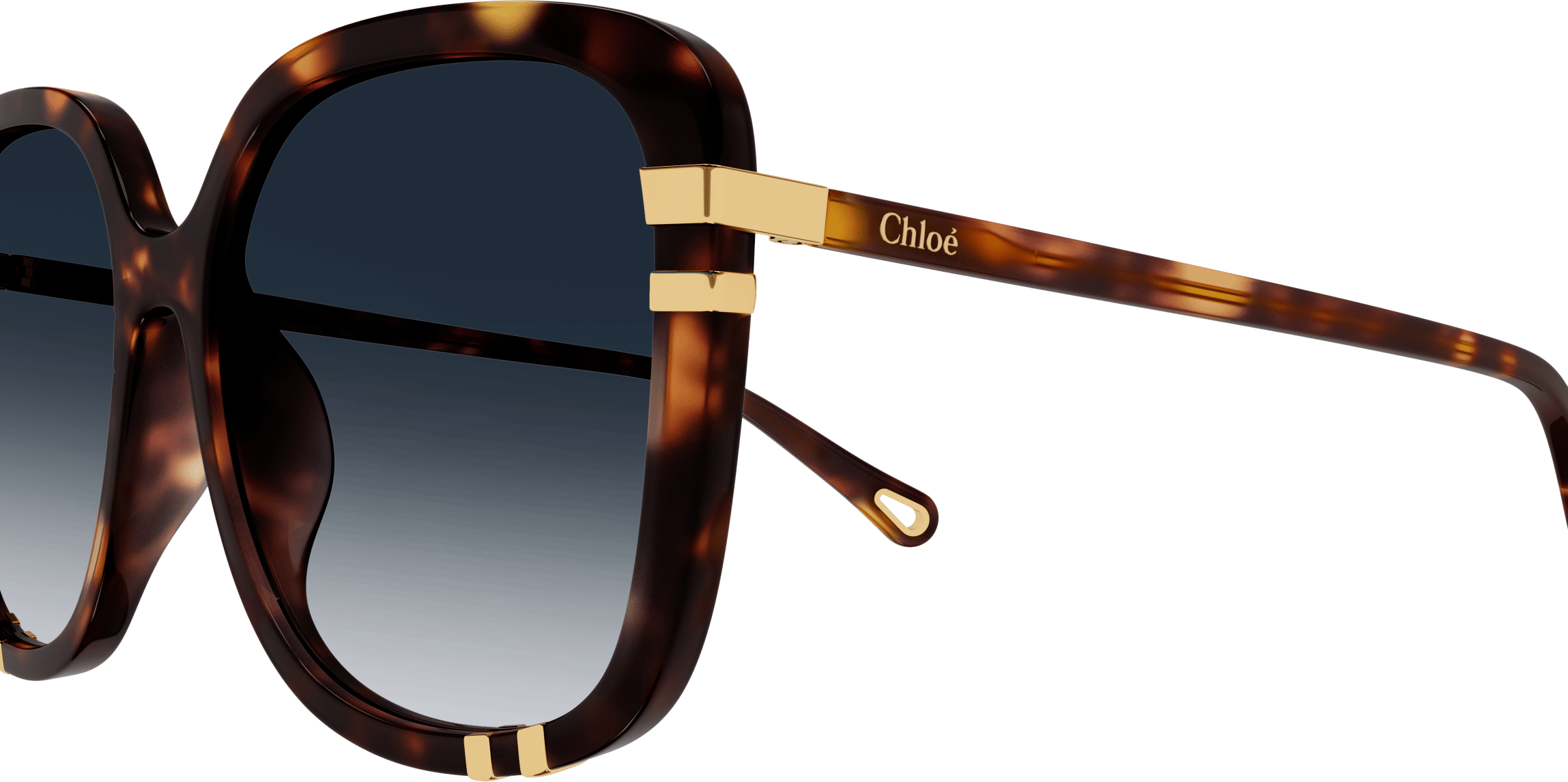 Color_CH0106SA-004 - HAVANA - BLUE - GRADIENT