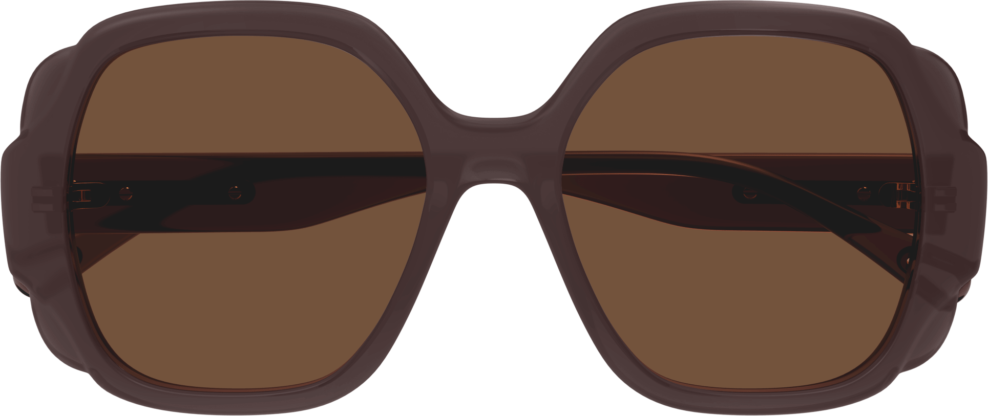 Color_CH0121S-001 - BROWN - BROWN - NONE