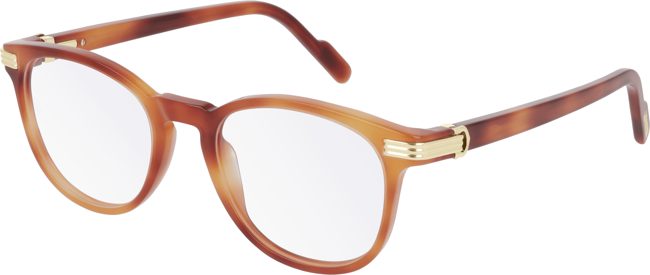 Color_CT0221O-003 - HAVANA - TRANSPARENT - AR (ANTI REFLECTIVE)