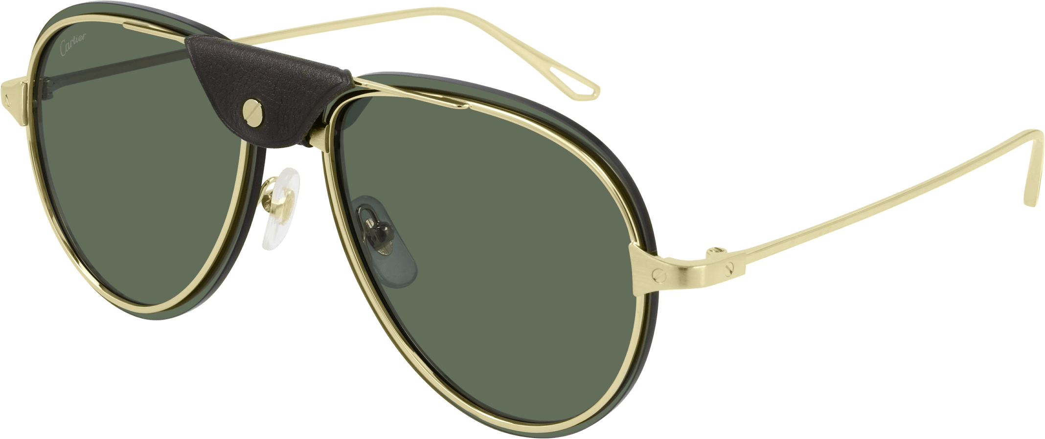 Color_CT0242S-002 - GOLD - GREEN - AR (ANTI REFLECTIVE) - POLARIZED