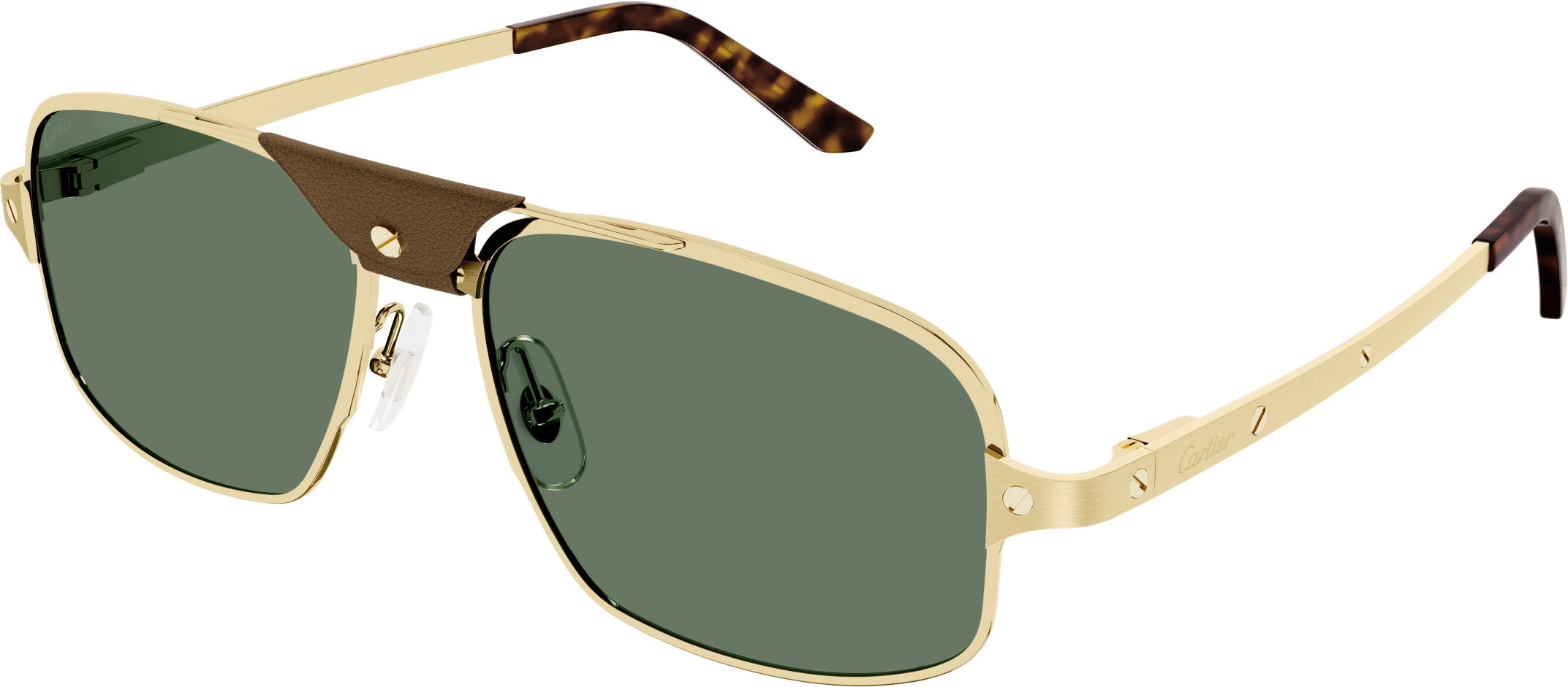 Color_CT0295S-002 - GOLD - GREEN - AR (ANTI REFLECTIVE) - POLARIZED