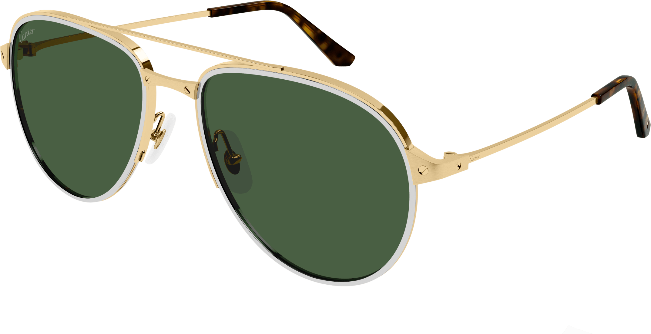 Color_CT0325S-006 - GOLD - GREEN - AR (ANTI REFLECTIVE) - POLARIZED