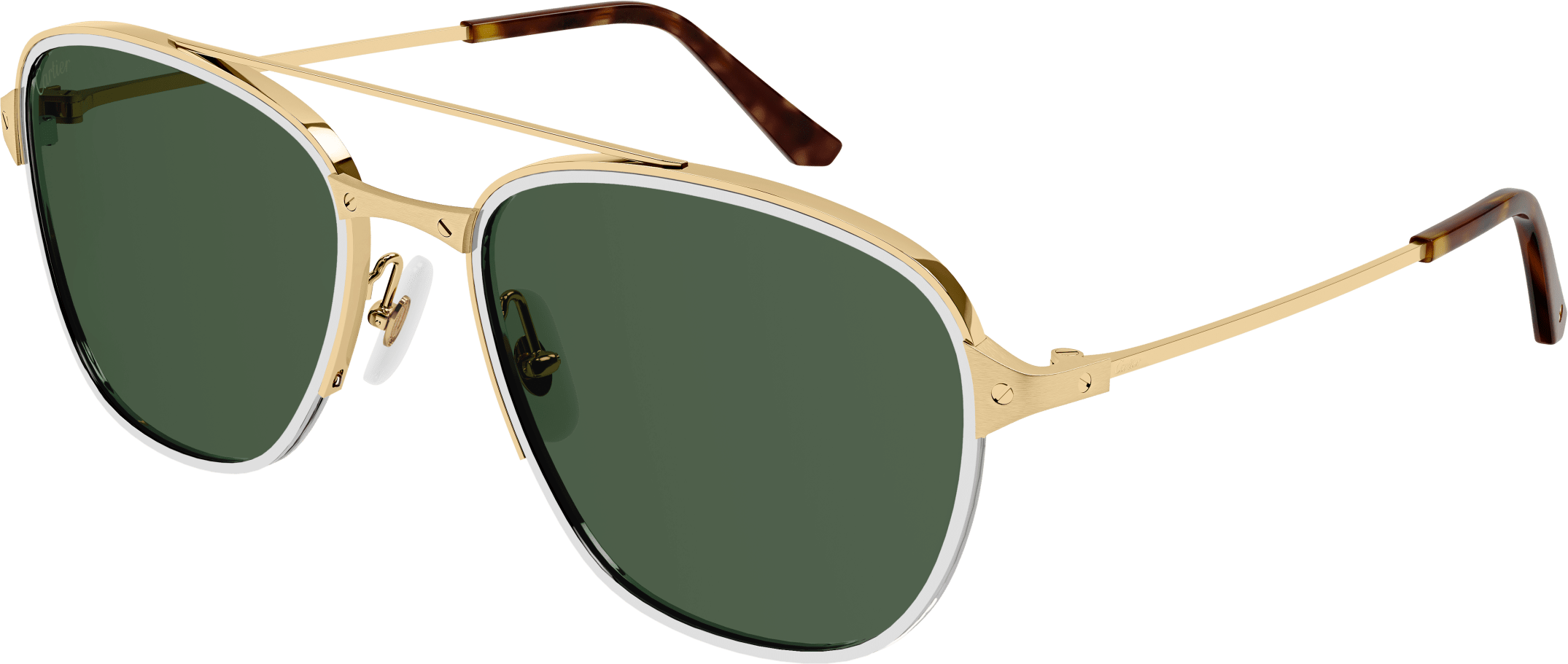 Color_CT0326S-002 - GOLD - GREEN - AR (ANTI REFLECTIVE) - POLARIZED
