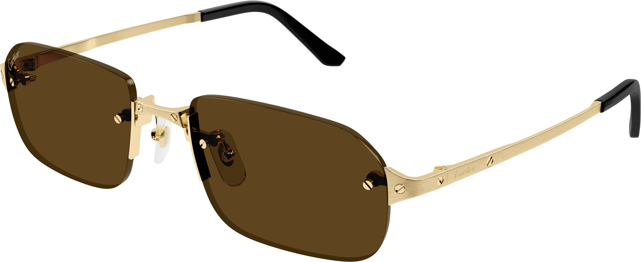 Color_CT0460S-002 - GOLD - BROWN - AR (ANTI REFLECTIVE)