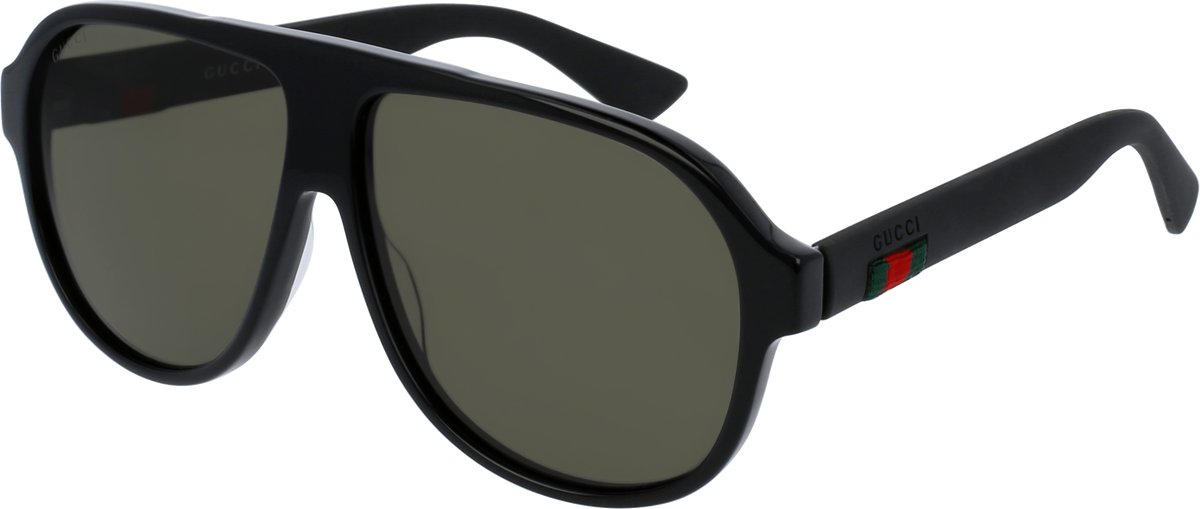 Gucci GG0009S Sunglasses