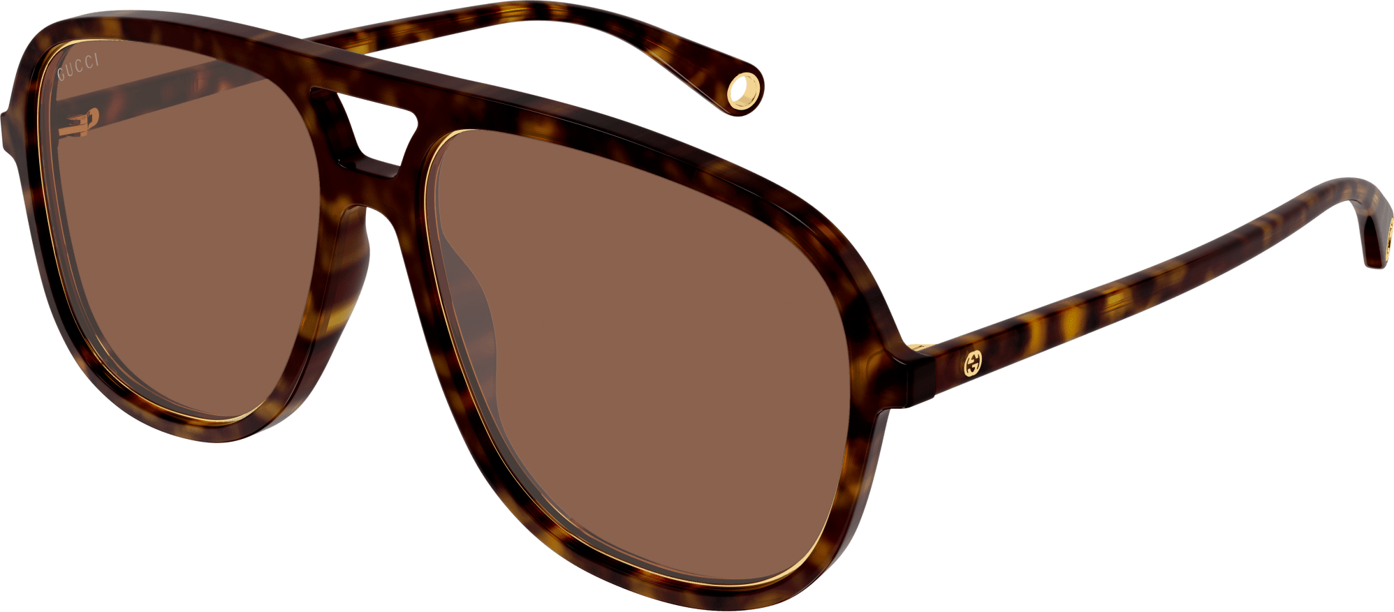 Color_GG1077S-004 - HAVANA - BROWN