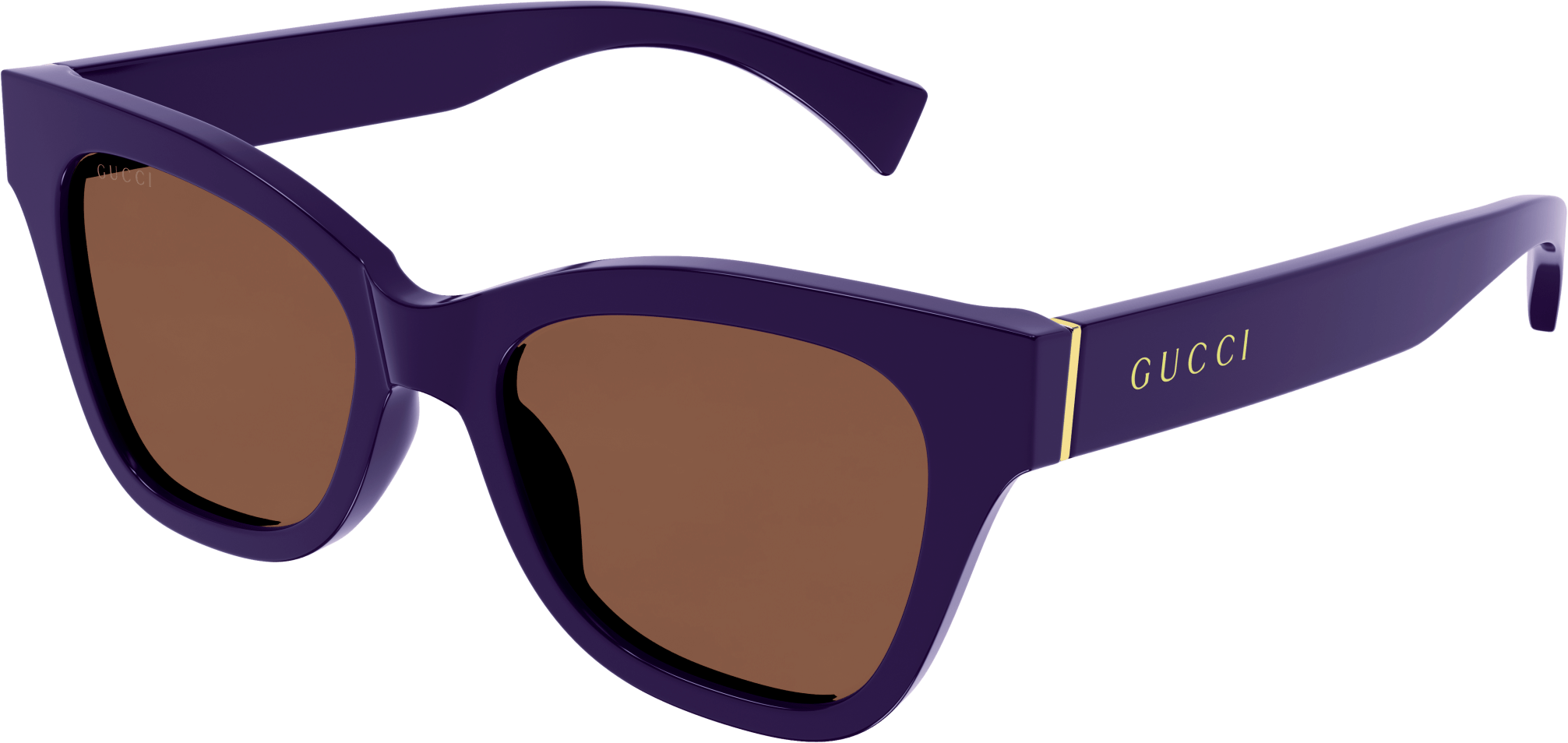 Color_GG1133S-002 - VIOLET - BROWN