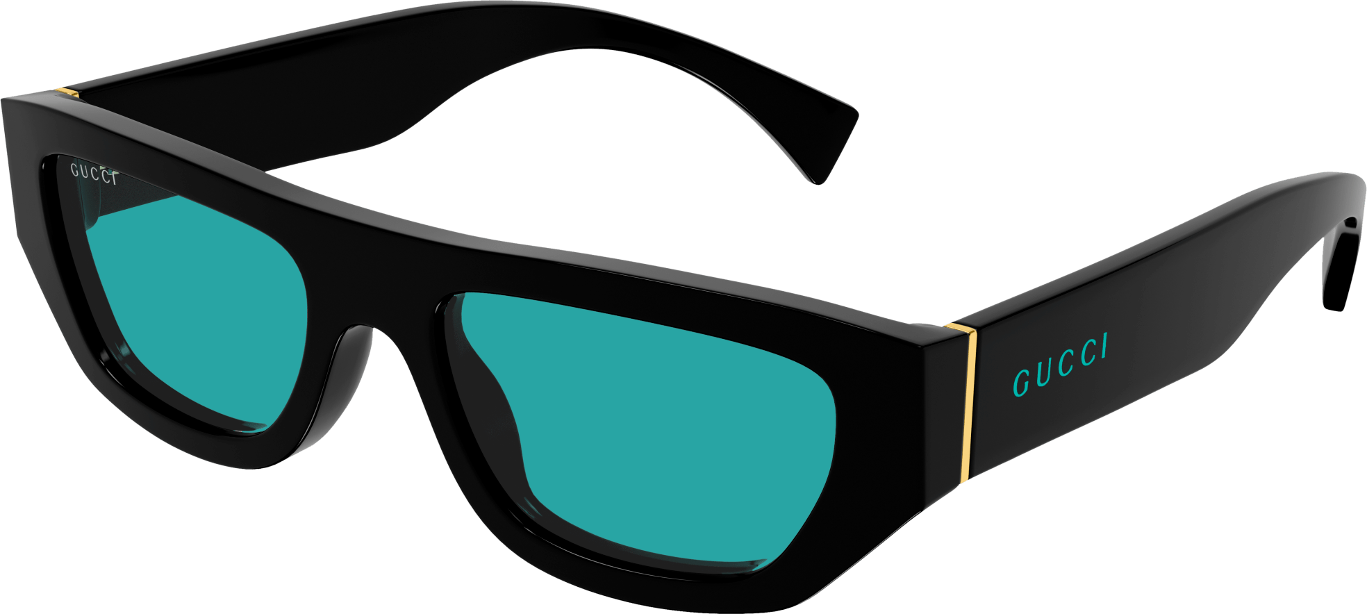 Color_GG1134S-004 - BLACK - GREEN