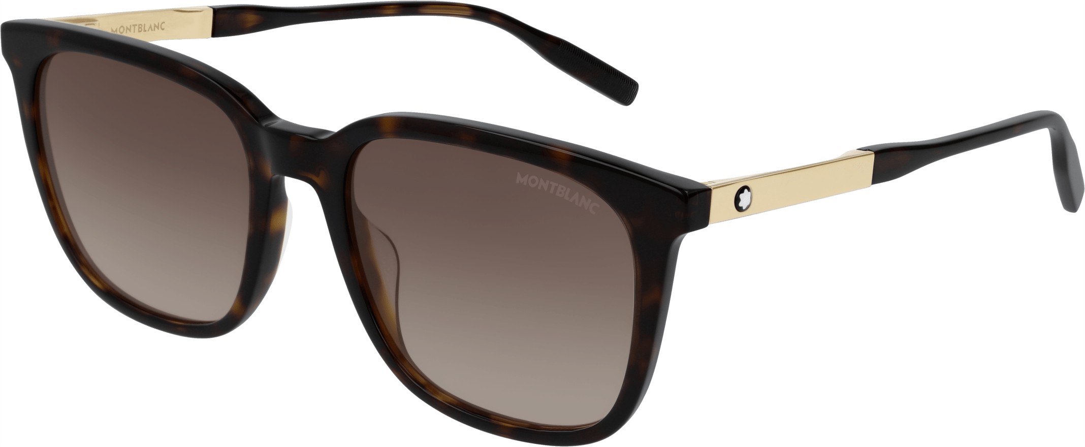 Color_MB0017S-002 - HAVANA - BROWN - GRADIENT