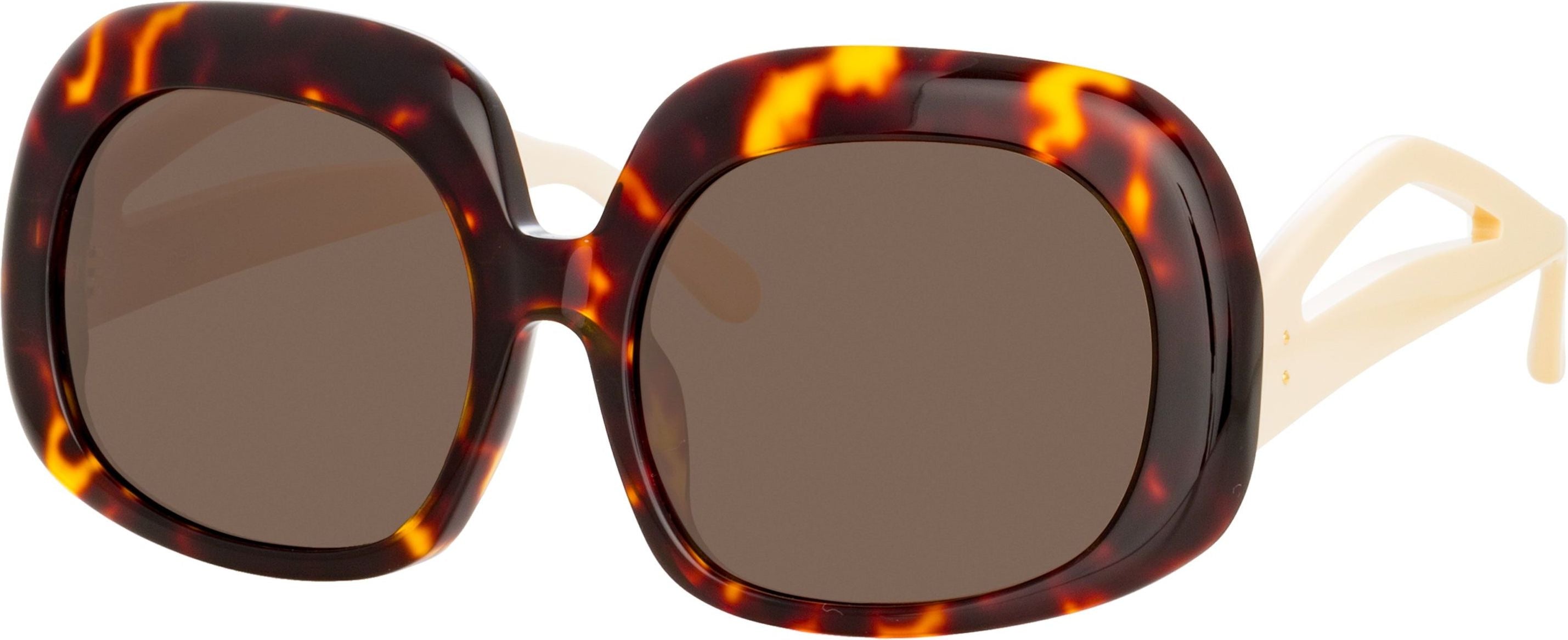 Color_LFL1289C2SUN - Lea Oversized Sunglasses in Tortoiseshell
