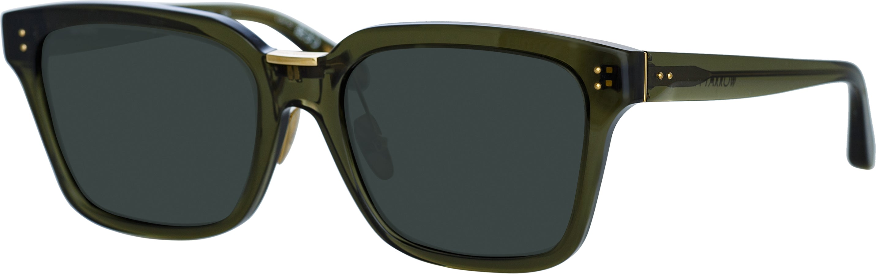 Color_LFL1322C6SUN - Desiree D-Frame Sunglasses in Green