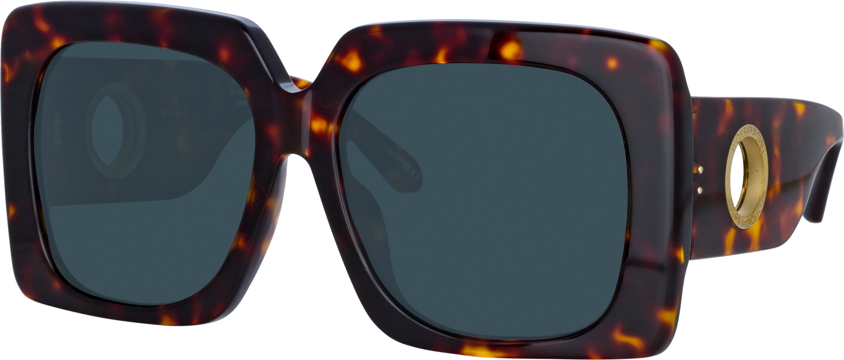 Color_LFL1346C3SUN - Sierra Oversized Sunglasses in Tortoiseshell