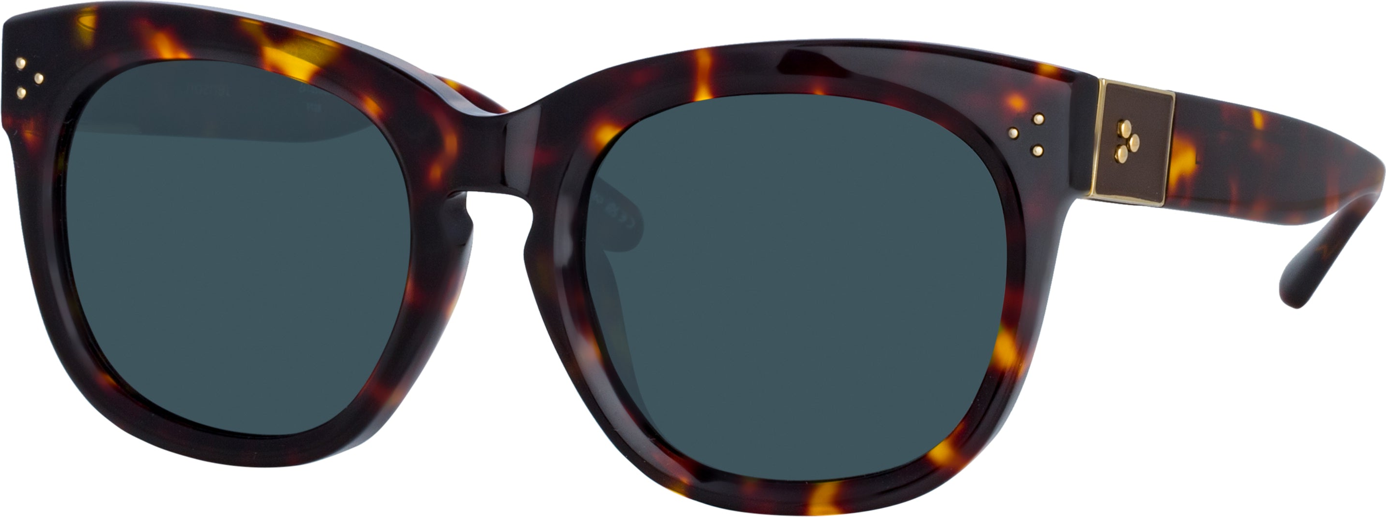 Color_LFL1384C2SUN - Jenson D-Frame Sunglasses in Tortoiseshell