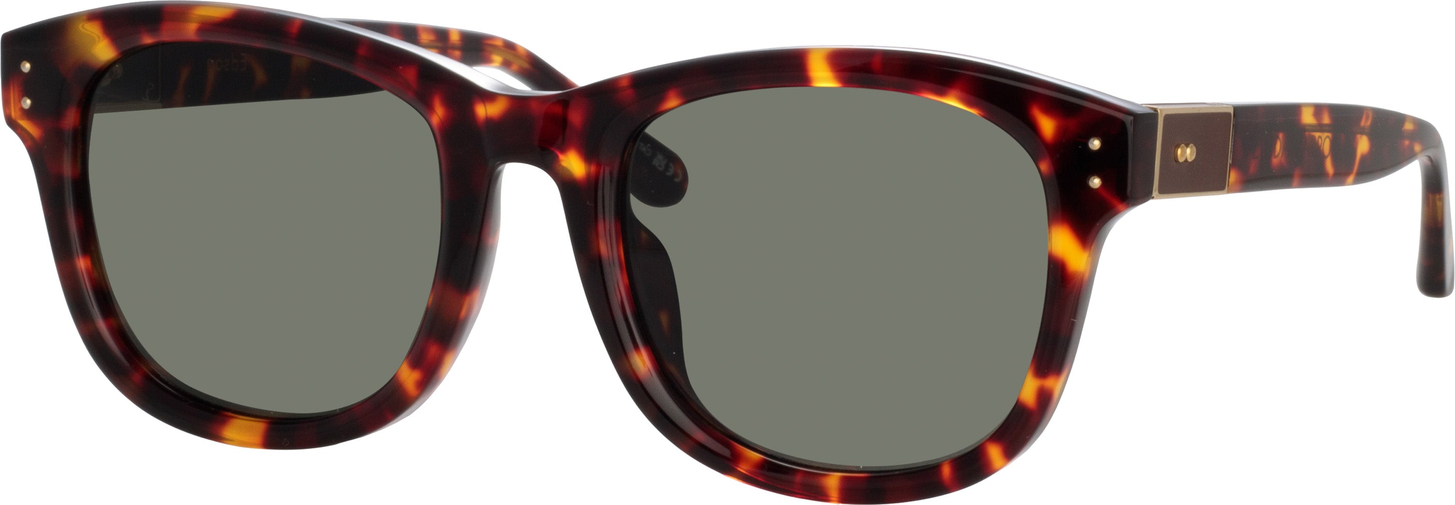 Color_LFL1385C5SUN - Edson D-Frame Sunglasses in Tortoiseshell