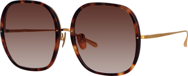Color_LFL1405C2SUN - Celia Oversized Sunglasses in Tortoiseshell