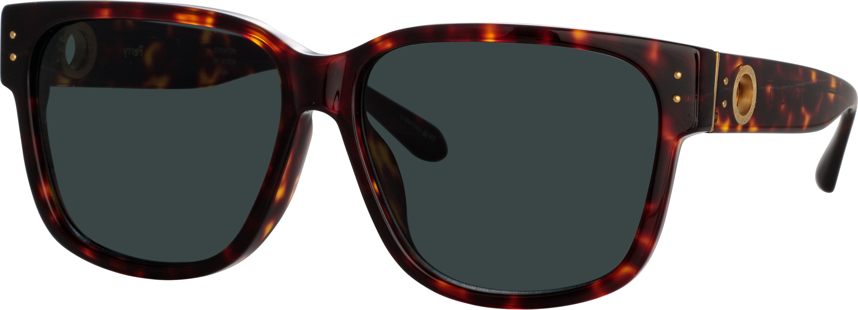Color_LFL1429C2SUN - Perry D-Frame Sunglasses in Tortoiseshell