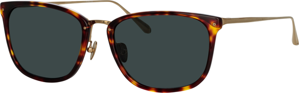 Color_LFL1457C2SUN - Cassin D-Frame Sunglasses in Tortoiseshell