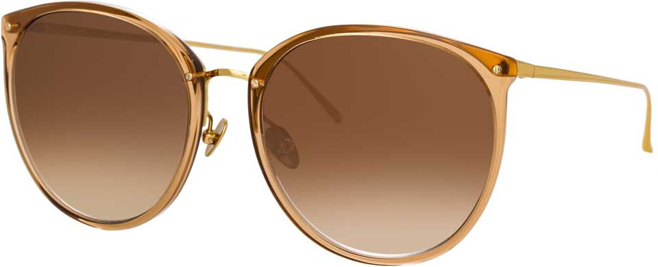 Oversized Sunglasses in Brown Frame (C34)