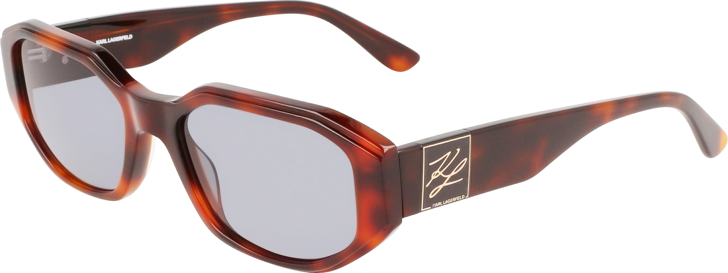 Color_(240) TORTOISE