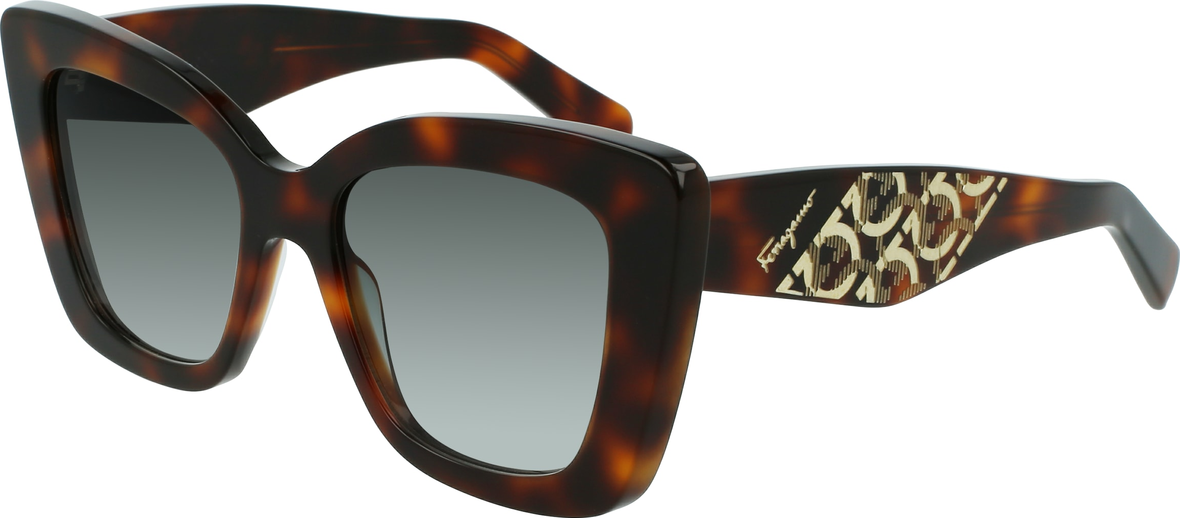 Color_(214) TORTOISE