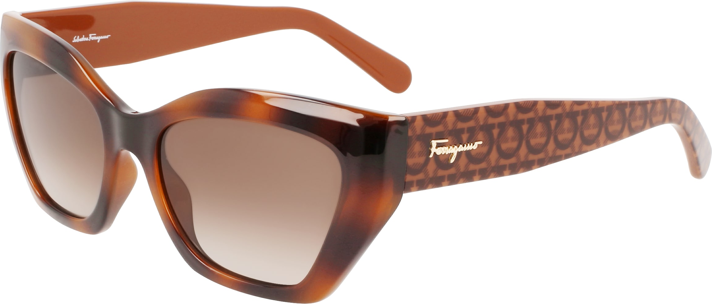 Color_(238) CLASSIC TORTOISE